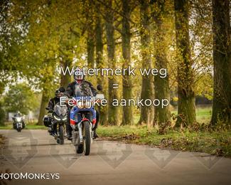 Herfstrit Moerzeke photo