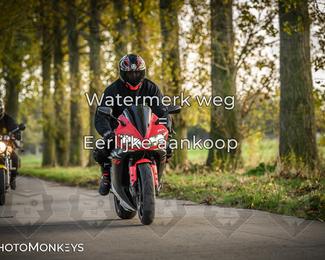 Balade d’automne Moerzeke photo