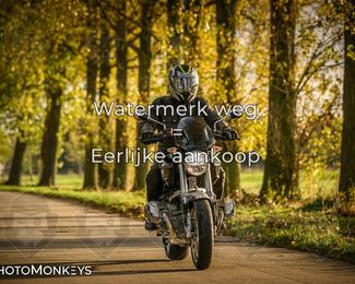 Herfstrit Moerzeke photo