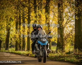 Herfstrit Moerzeke photo