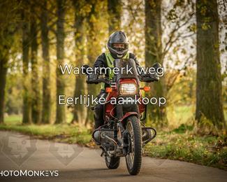 Herfstrit Moerzeke photo