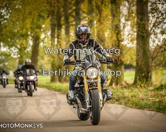 Herfstrit Moerzeke photo