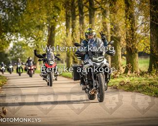 Herfstrit Moerzeke photo