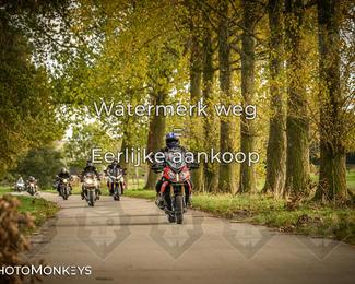 Herfstrit Moerzeke photo