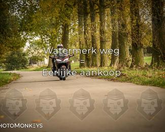 Herfstrit Moerzeke photo