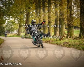 Herfstrit Moerzeke photo