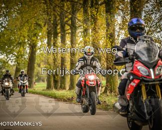 Herfstrit Moerzeke photo