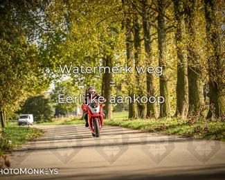 Herfstrit Moerzeke photo