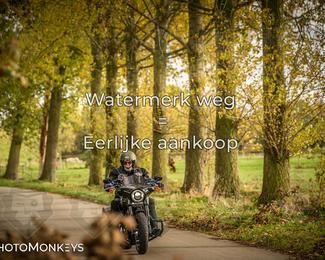 Herfstrit Moerzeke photo