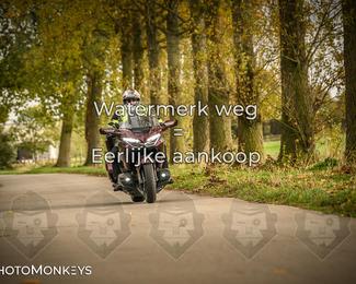 Herfstrit Moerzeke photo