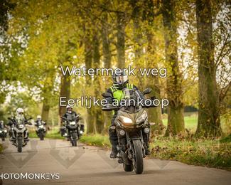 Herfstrit Moerzeke photo