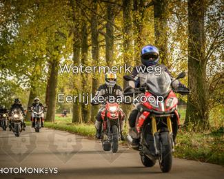 Herfstrit Moerzeke photo