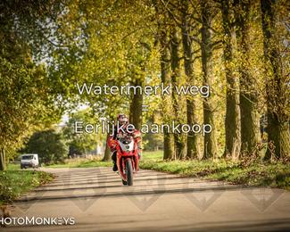 Herfstrit Moerzeke photo