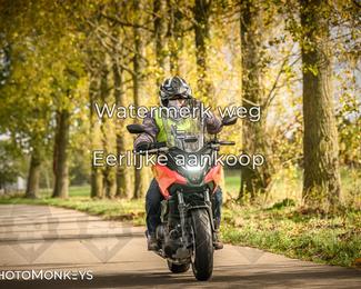 Herfstrit Moerzeke photo