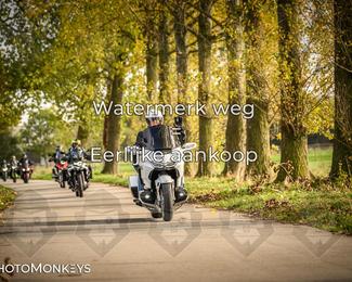 Herfstrit Moerzeke photo