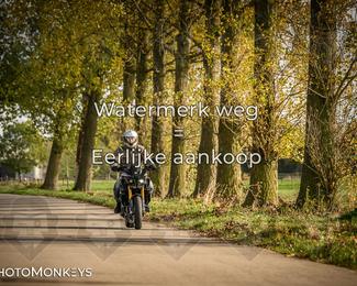 Herfstrit Moerzeke photo