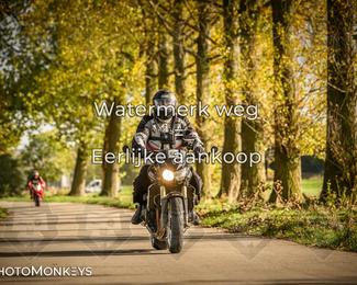 Herfstrit Moerzeke photo