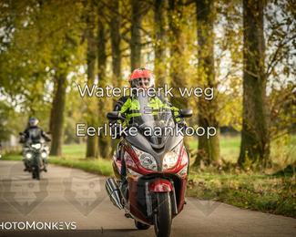 Herfstrit Moerzeke photo