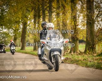 Herfstrit Moerzeke photo