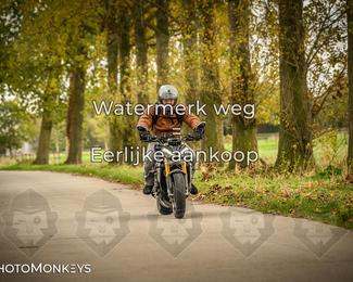 Herfstrit Moerzeke photo