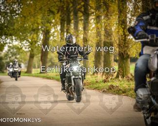 Herfstrit Moerzeke photo