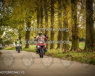 Herfstrit Moerzeke photo