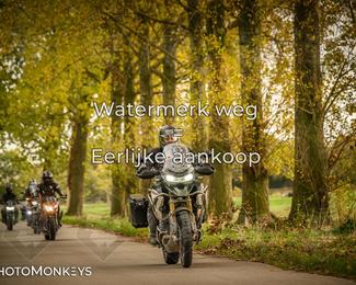 Herfstrit Moerzeke photo