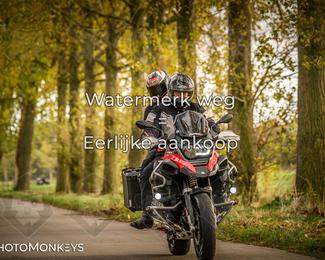 Herfstrit Moerzeke photo