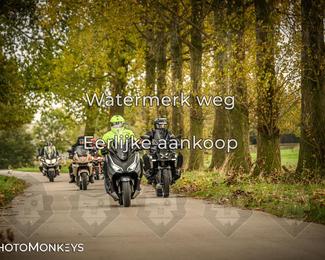 Herfstrit Moerzeke photo