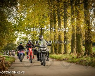 Herfstrit Moerzeke photo