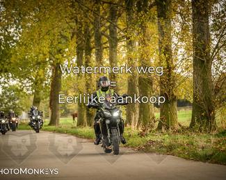 Herfstrit Moerzeke photo