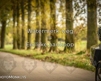 Balade d’automne Moerzeke photo