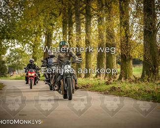 Herfstrit Moerzeke photo