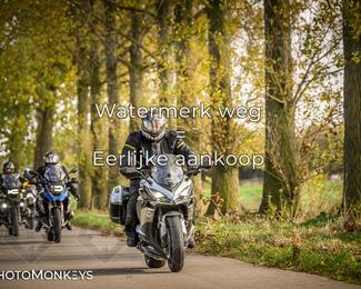 Herfstrit Moerzeke photo