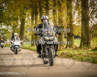 Herfstrit Moerzeke photo