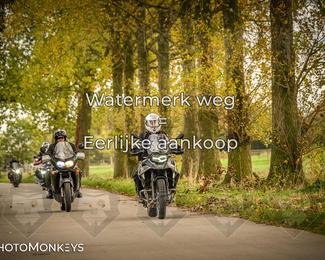 Herfstrit Moerzeke photo