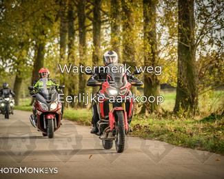 Herfstrit Moerzeke photo