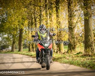 Herfstrit Moerzeke photo