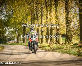 Herfstrit Moerzeke photo