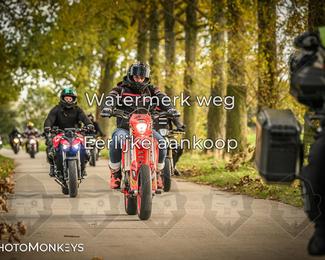 Herfstrit Moerzeke photo