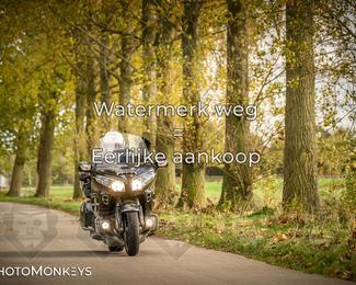 Autumn Ride Moerzeke photo