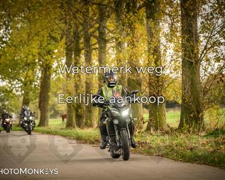 Herfstrit Moerzeke photo