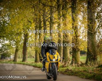 Herfstrit Moerzeke photo