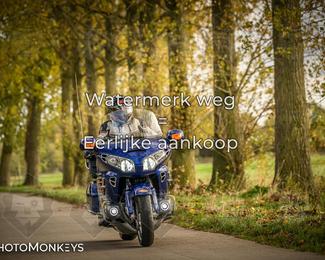 Autumn Ride Moerzeke photo