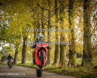 Herfstrit Moerzeke photo