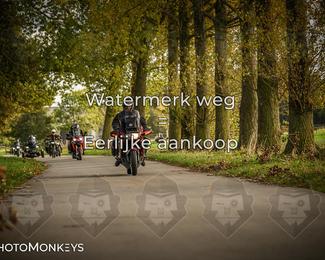 Herfstrit Moerzeke photo