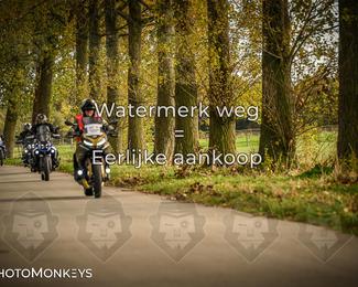 Herfstrit Moerzeke photo