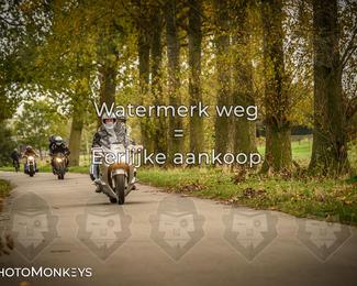 Herfstrit Moerzeke photo