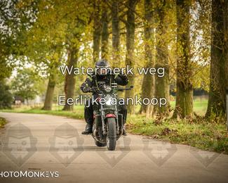 Herfstrit Moerzeke photo