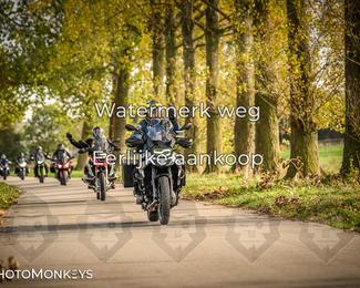 Herfstrit Moerzeke photo